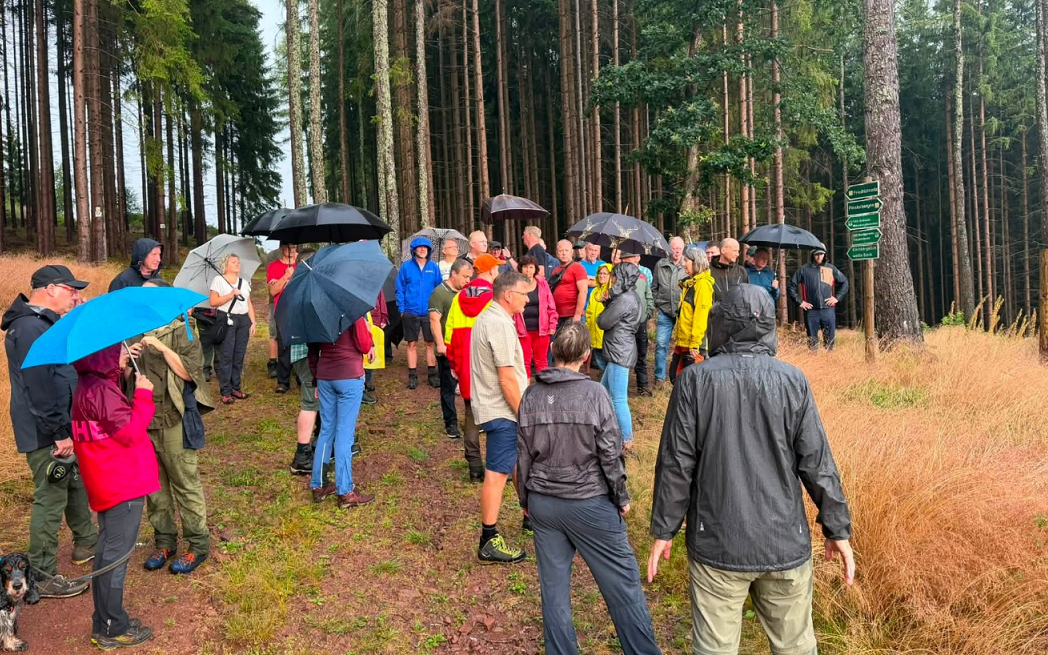 Wanderung Förster