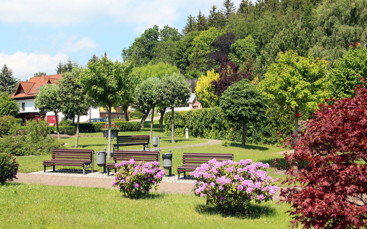 Kurzone mit Bänken und blühenden Sträuchern in Finsterbergen