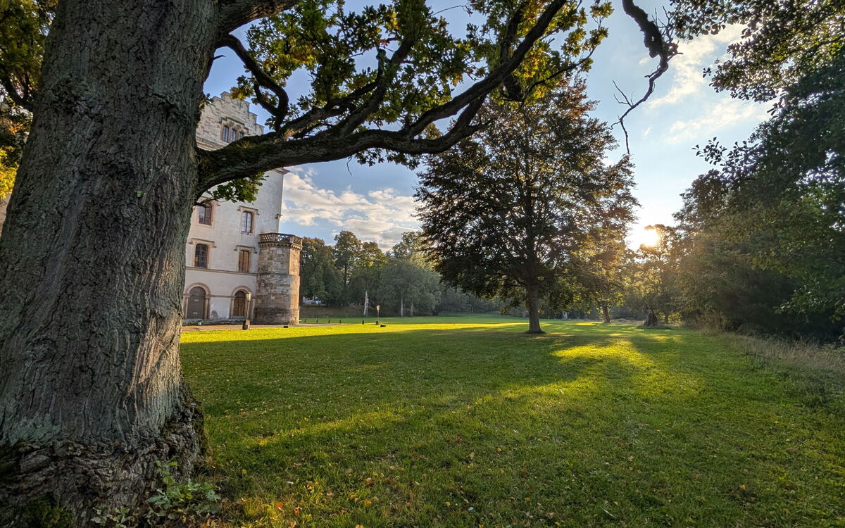 Ein Teil des Schlosses verdeckt von einem alten Baum im Schlosspark Reinhardsbrunn