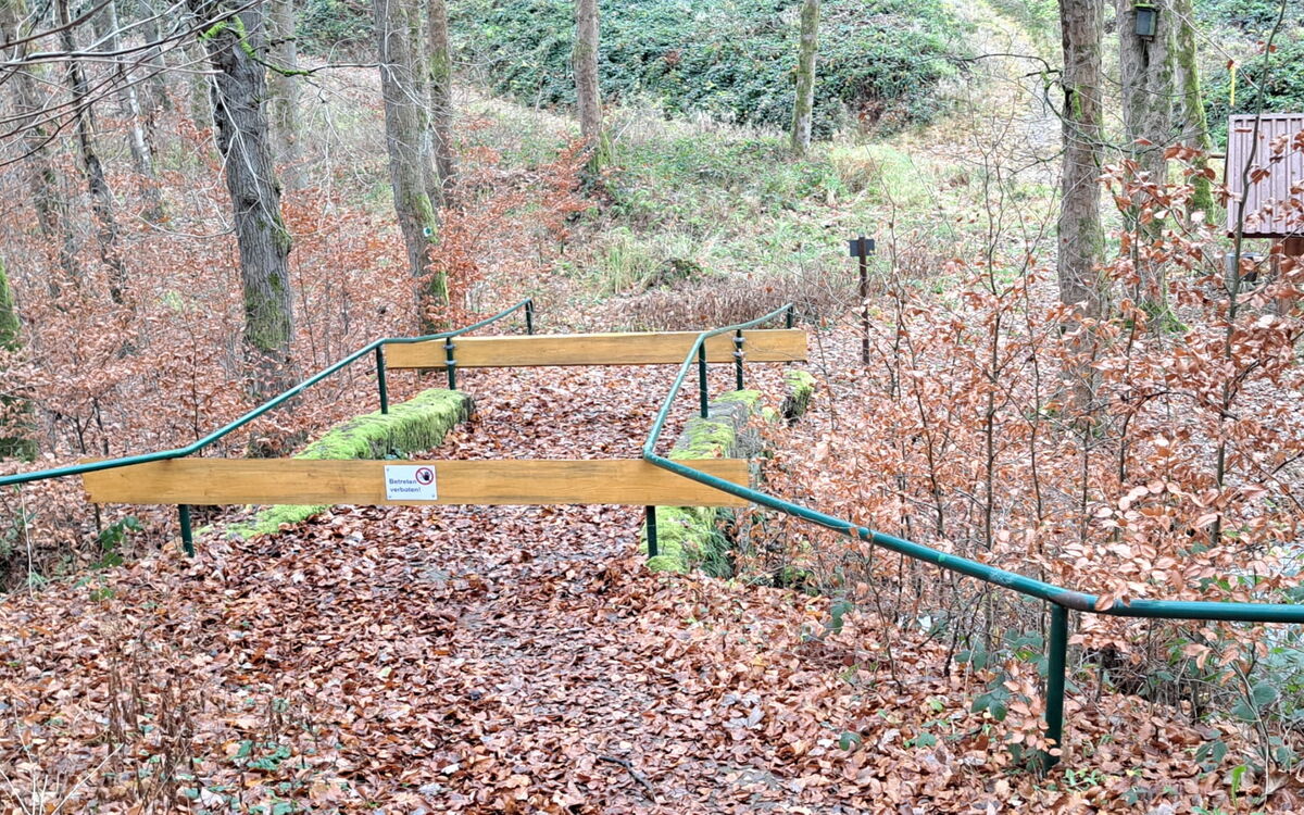 Gesperrte Totenbrücke im Wald bei Finsterbergen
