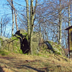 Felsen und Infotafel an der Schauenburg bei Friedrichroda