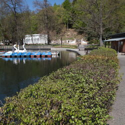 Hammerteich Georgenthal mit Kahnstation