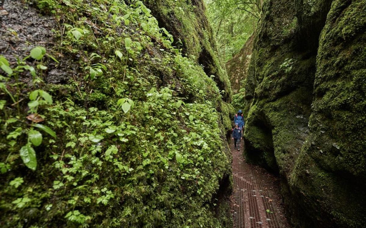 Impression von der Drachenschlucht bei Eisenach