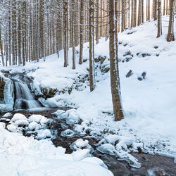 Wasserfall am Schilfwasser im Winter