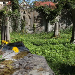 Ruine Zisterzienserkloster Georgenthal