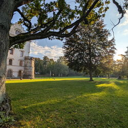 Ein Teil des Schlosses verdeckt von einem alten Baum im Schlosspark Reinhardsbrunn
