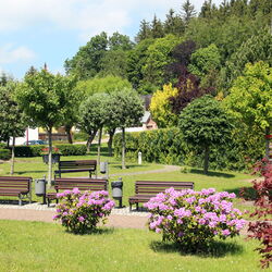 Kurzone mit Bänken und blühenden Sträuchern in Finsterbergen
