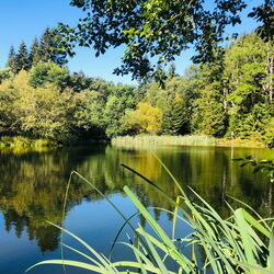 Brandleiteteich am Naturlehrpfad bei Finsterbergen