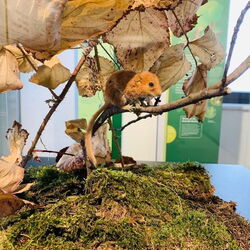 Erlebnisturm mit Aussicht und Ausstellungen © 